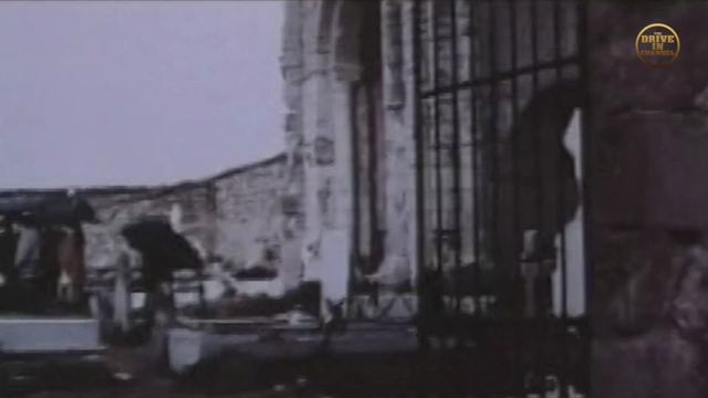 The Vampires night orgy Online