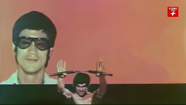 The Real Bruce Lee Online