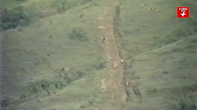 Blind Warrior Online