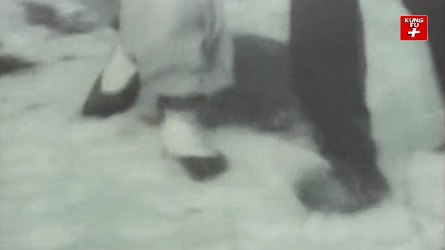 Dragon Lee VS Five Brothers Online