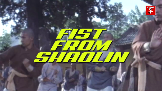 Fist from Shaolin Online