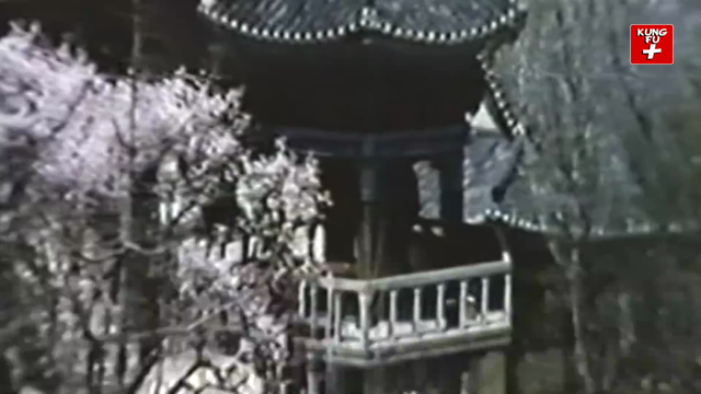 Five Pttern Dragon Claws Online