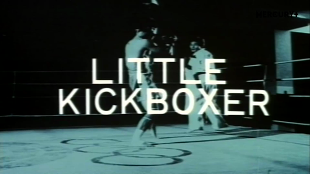 Little Kickboxer Online