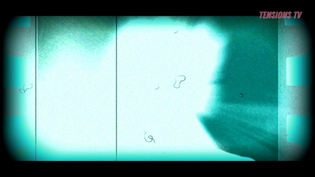 Death of A Ghost Hunter Online